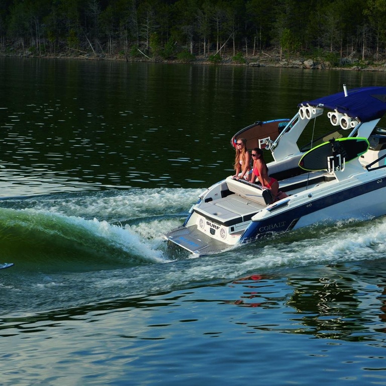 Cobalt boats: фото